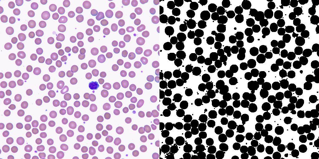 binary_erosion_cell